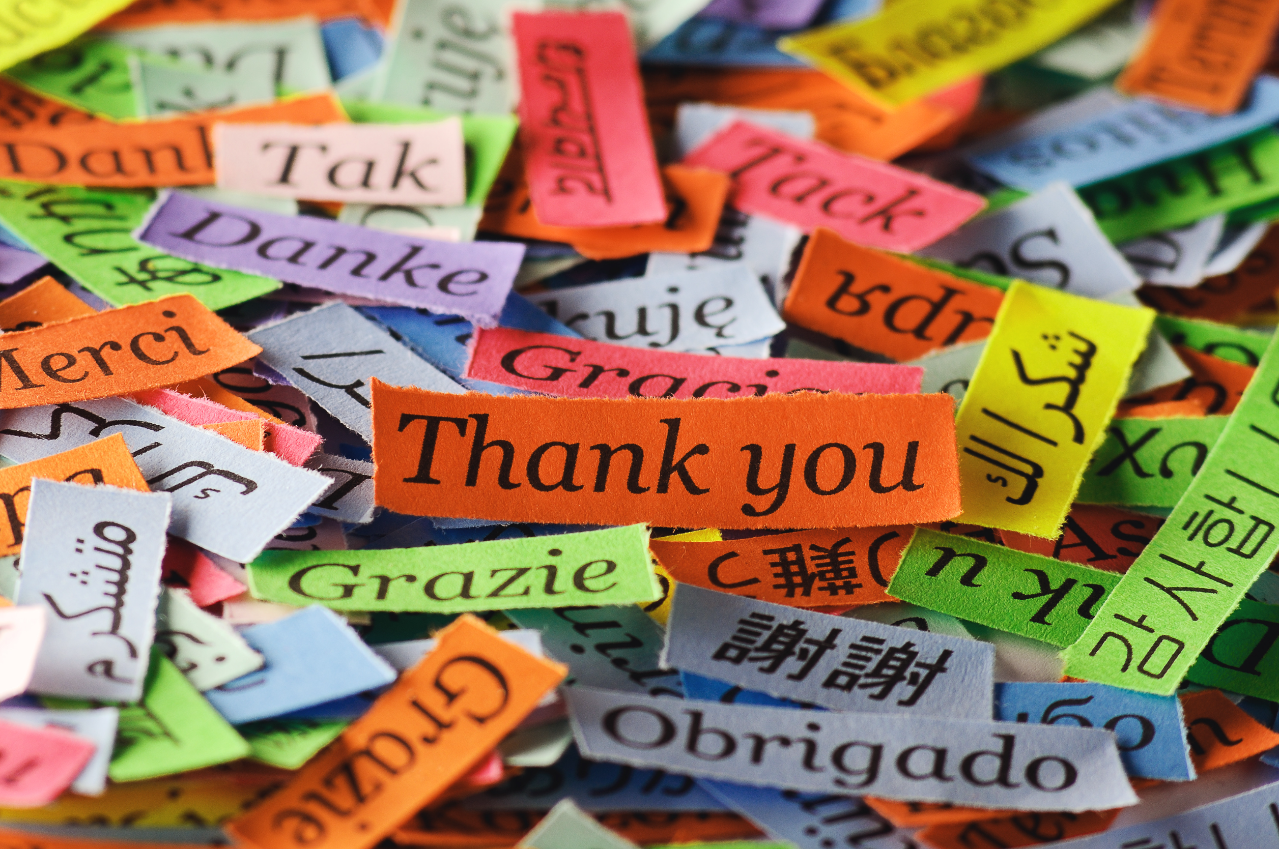 Thank you on colourful pieces of paper written in many languages